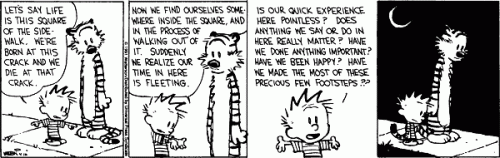 Calvin on life